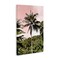 Stupell Industries Rainforest Palm on Pink Canvas, design by Natalie Carpentieri